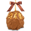 Cashew Turtle Caramel Apple w/ Belgian Milk Chocolate